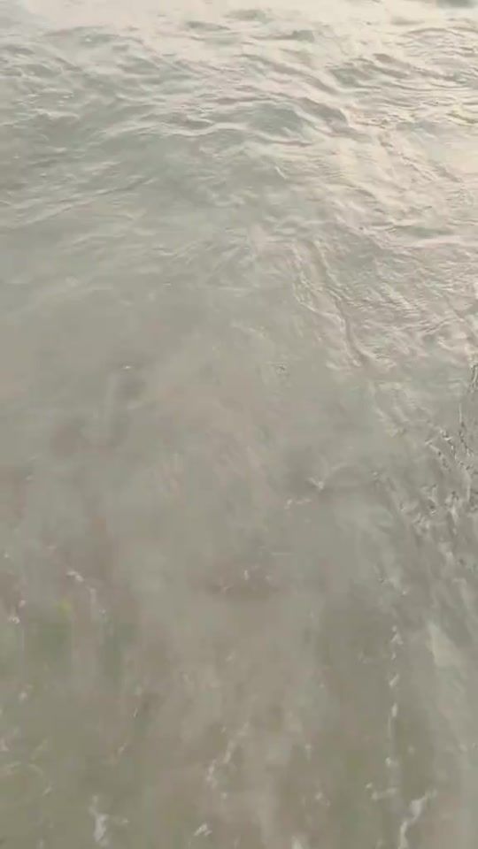 TikTok video thumbnail by 9mithila1