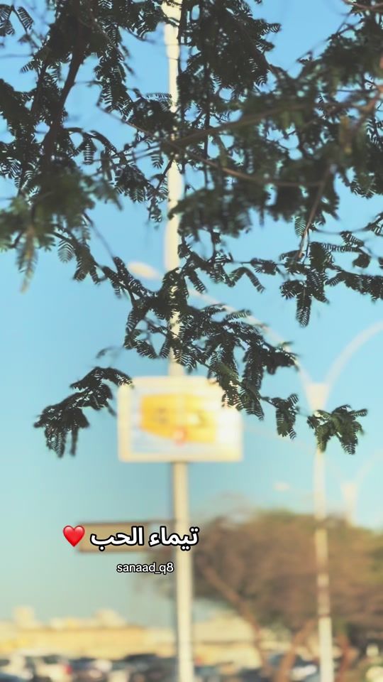 TikTok video thumbnail by sanad.ab