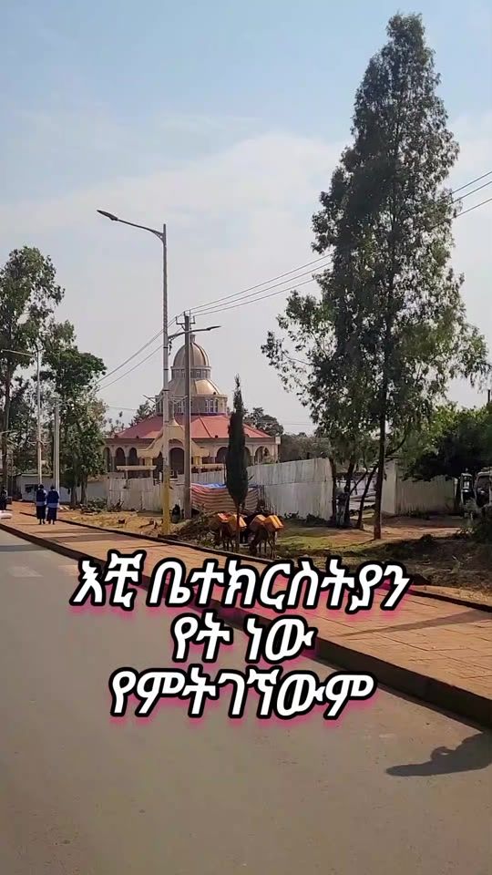 TikTok video thumbnail by yemariyam..11