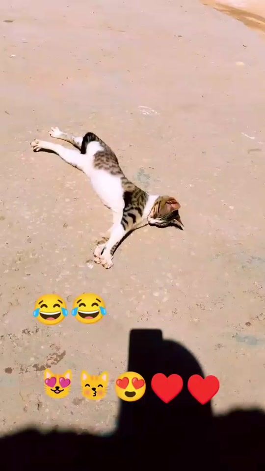 TikTok video thumbnail by gaamaarr1
