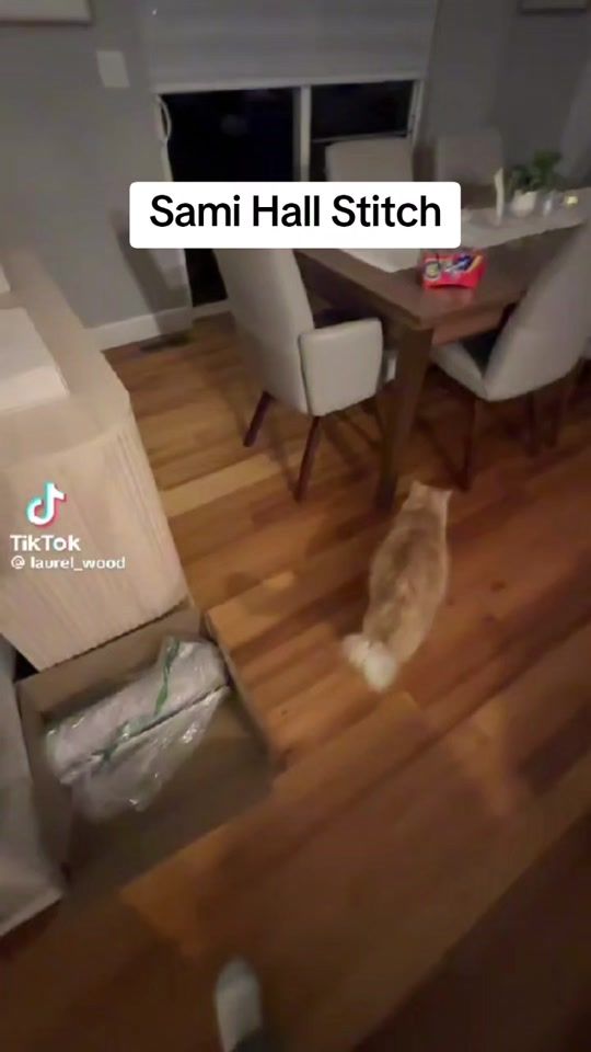 TikTok video thumbnail by samihallsays
