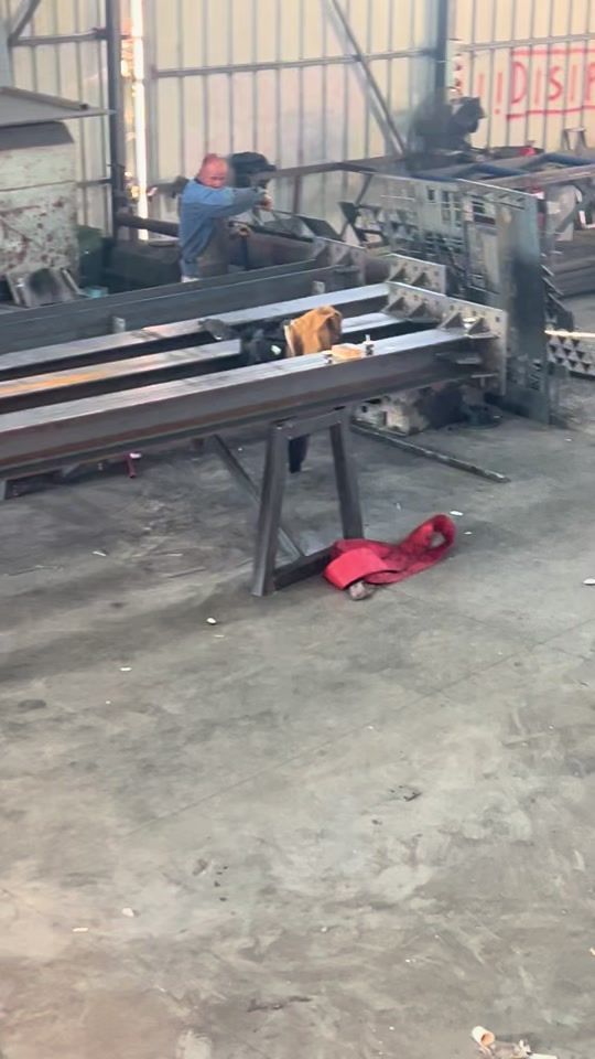 TikTok video thumbnail by hysa_construction