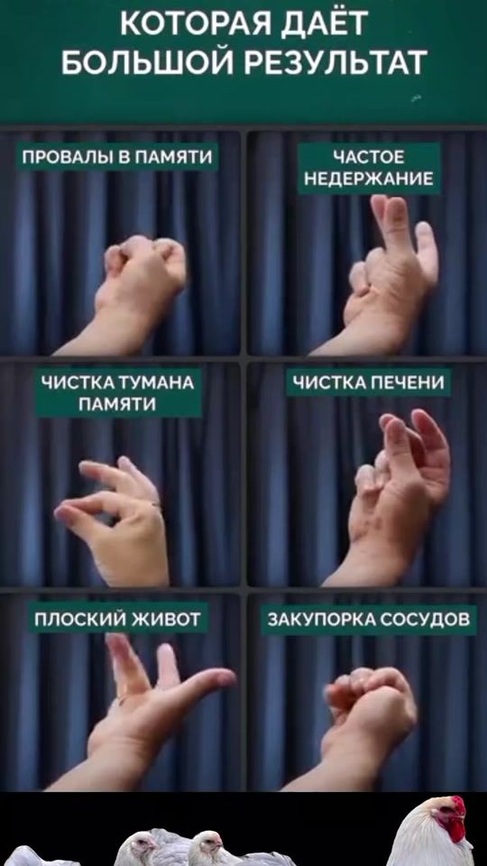 TikTok video thumbnail by serik2566