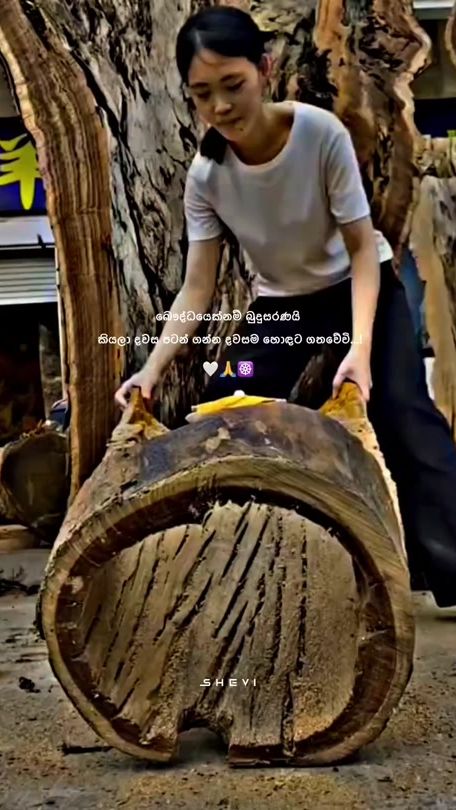 TikTok video thumbnail by _shevi___s