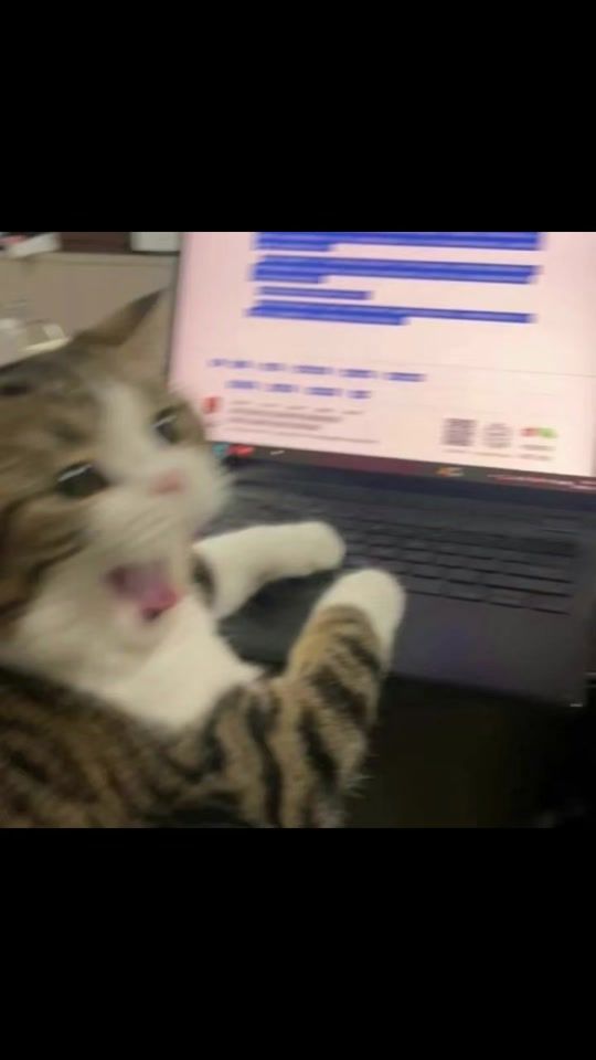 TikTok video thumbnail by lucxifvr.r