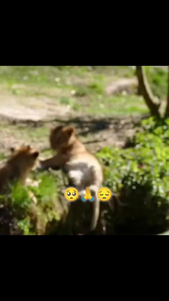 TikTok video thumbnail by _eliyev.02