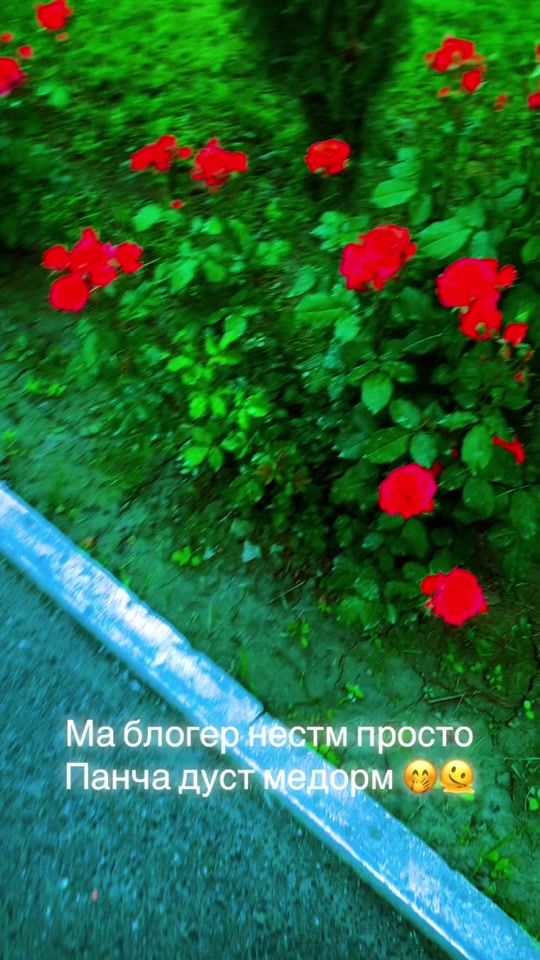TikTok video thumbnail by _asal_4a