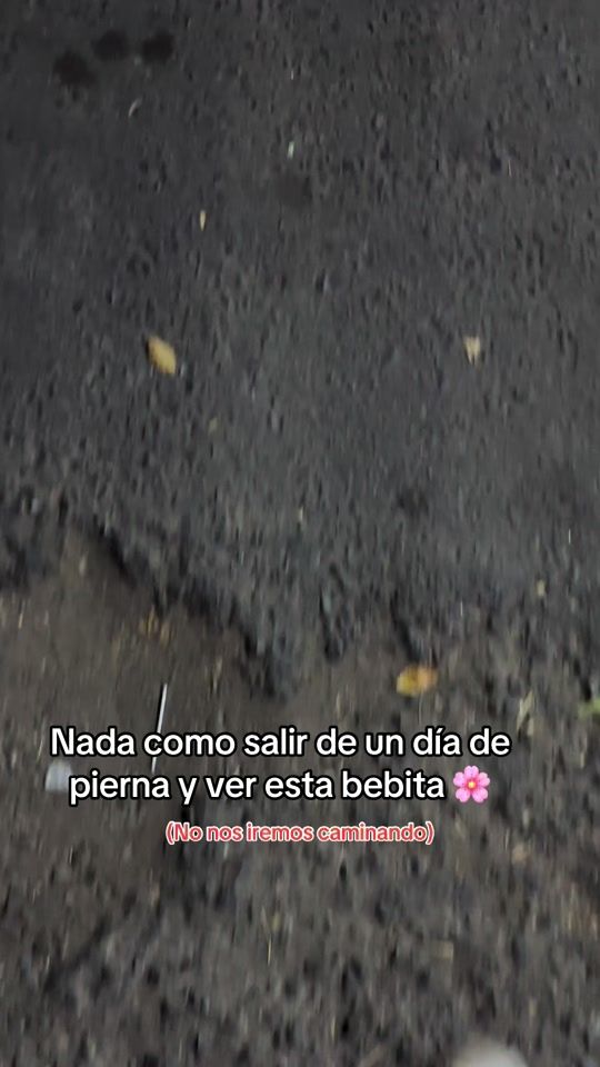 TikTok video thumbnail by carl_f29