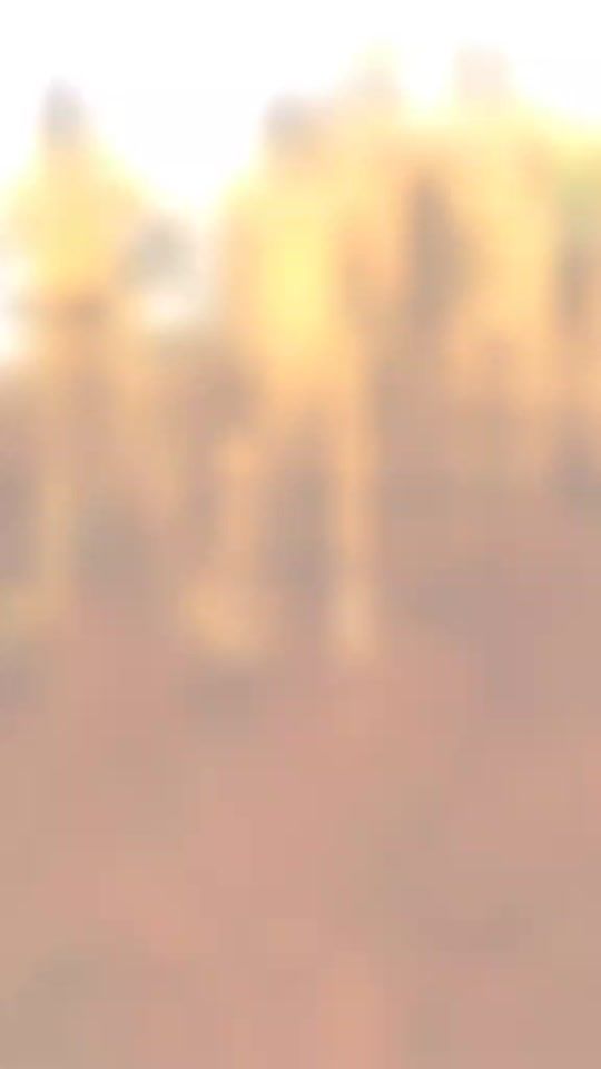 TikTok video thumbnail by ib.ratpi
