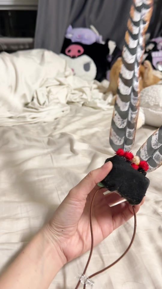 TikTok video thumbnail by cielmeowmun
