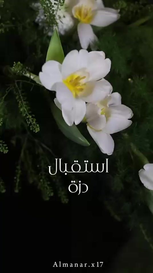 TikTok video thumbnail by ayar_event