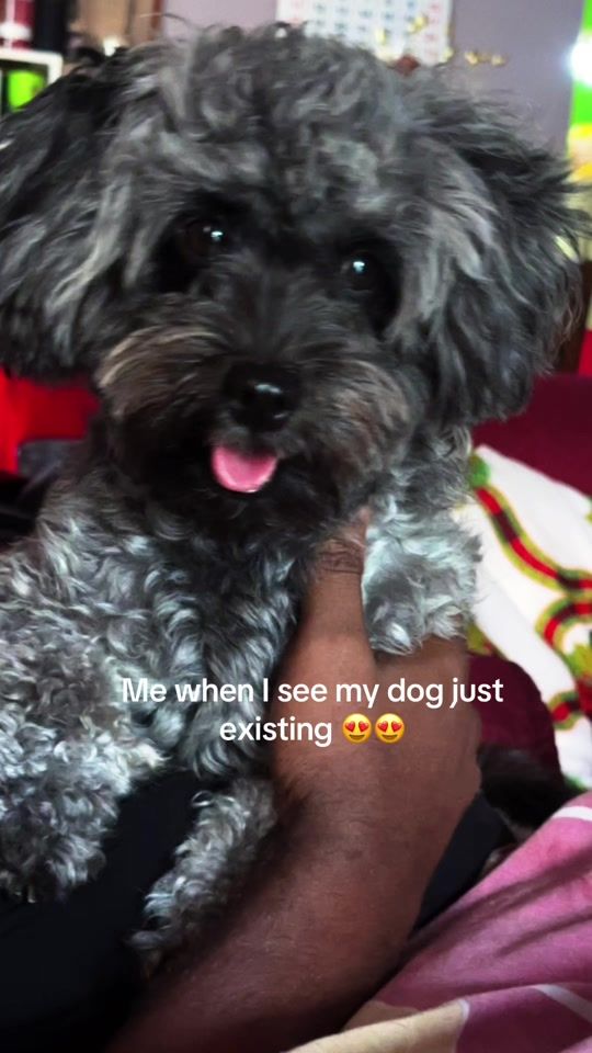 TikTok video thumbnail by joannemurray86