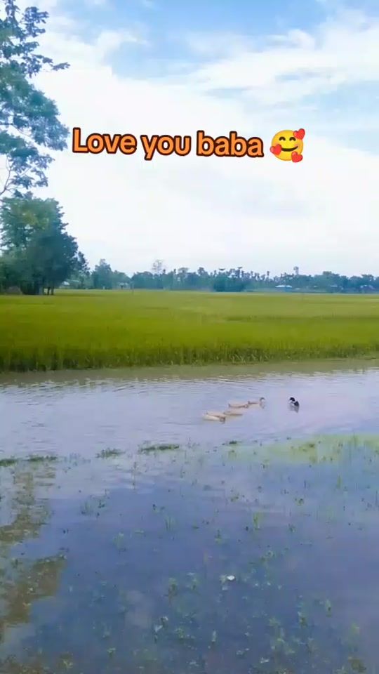 TikTok video thumbnail by mk.majedul.50