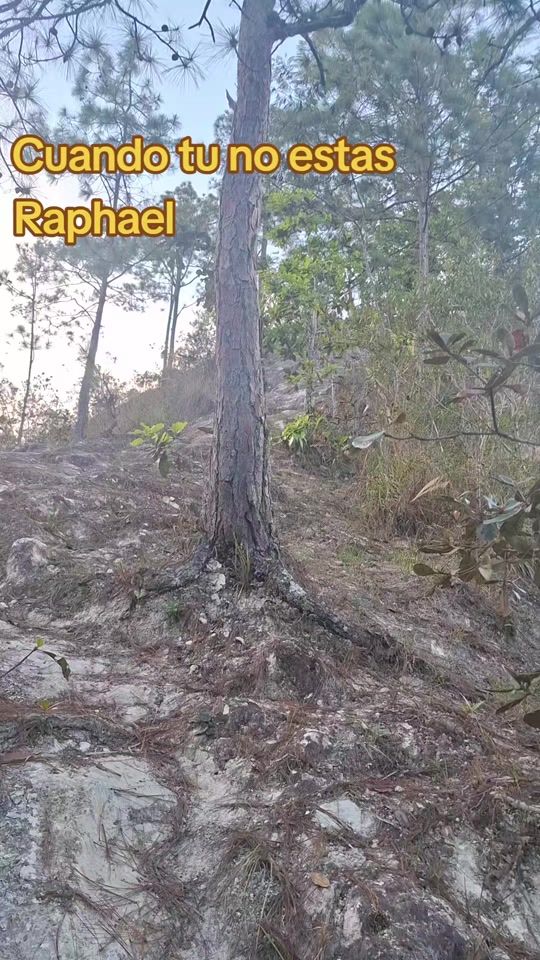 TikTok video thumbnail by jas.abe