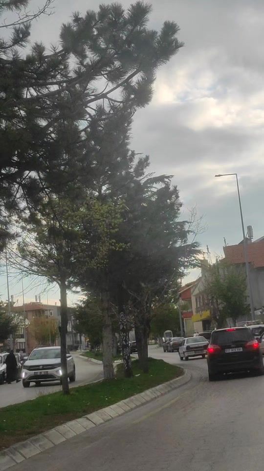 TikTok video thumbnail by ahmetimm90