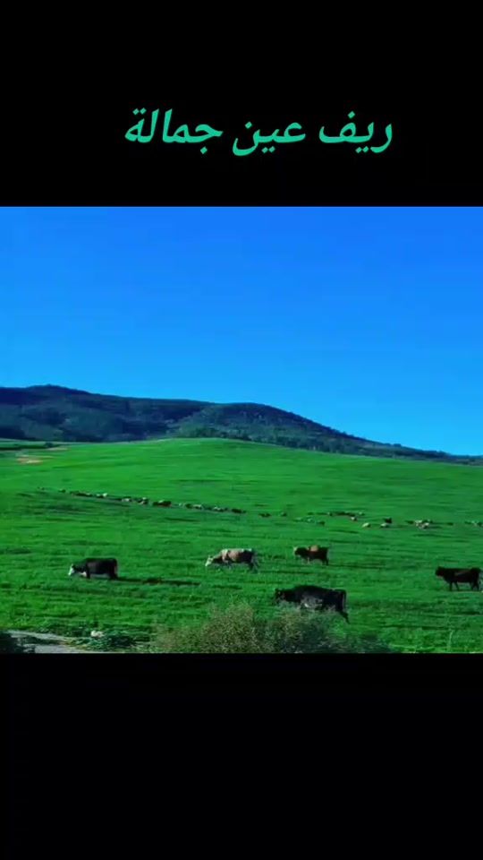 TikTok video thumbnail by jbeli38