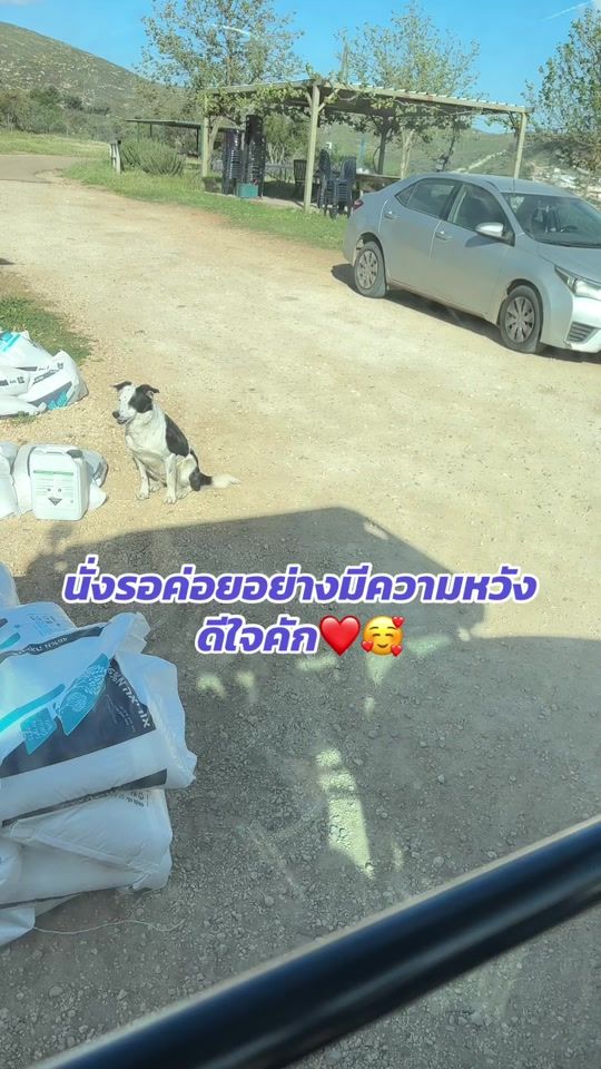 TikTok video thumbnail by stories5604