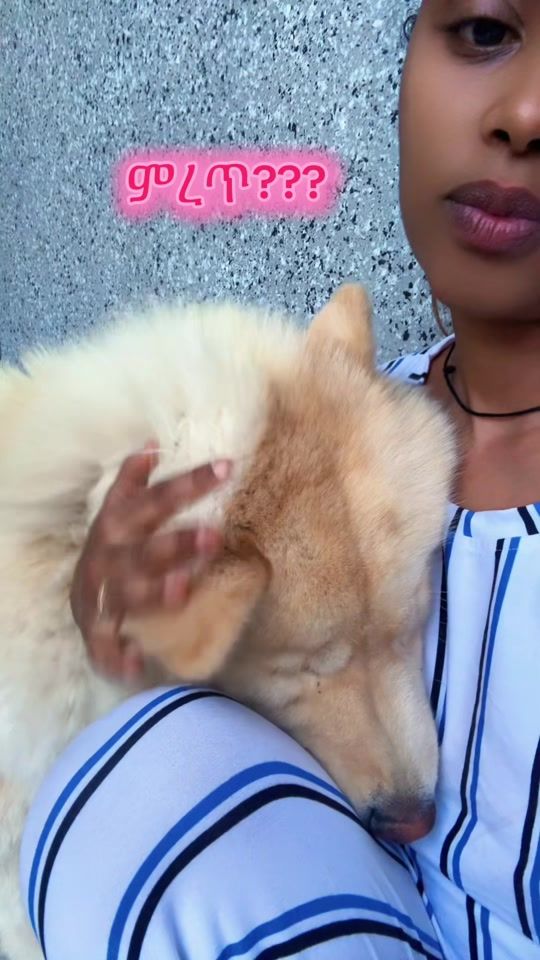 TikTok video thumbnail by sandra_samrawit1
