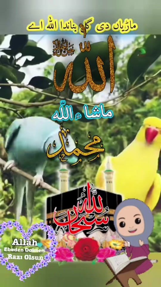 TikTok video thumbnail by afsaruddin082