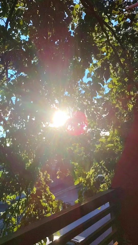 TikTok video thumbnail by sulma.13