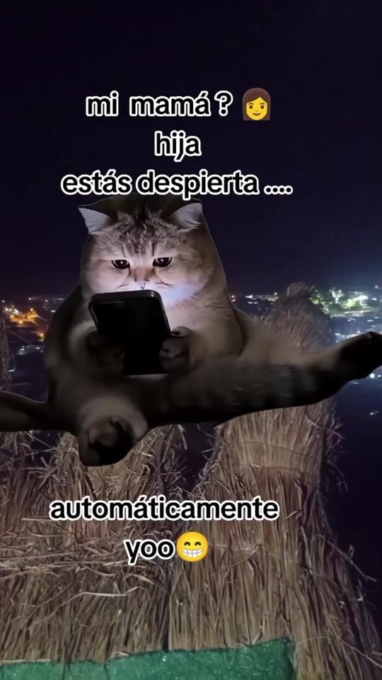 TikTok video thumbnail by jennygerrero340