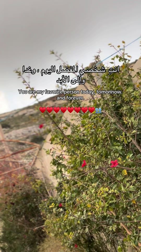 TikTok video thumbnail by ii_rr_88
