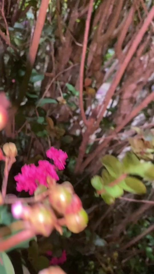 TikTok video thumbnail by jupsy17_