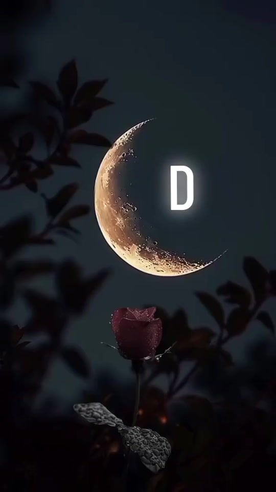 TikTok video thumbnail by elbekjon41