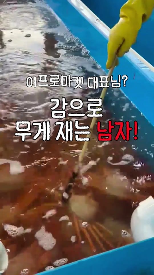 TikTok video thumbnail by leepromk_official