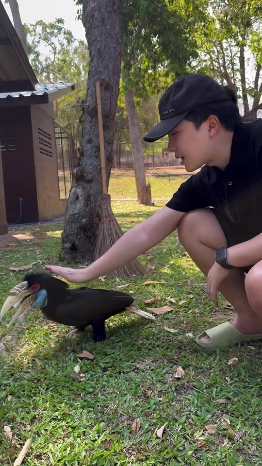 TikTok video thumbnail by daymonwcpp