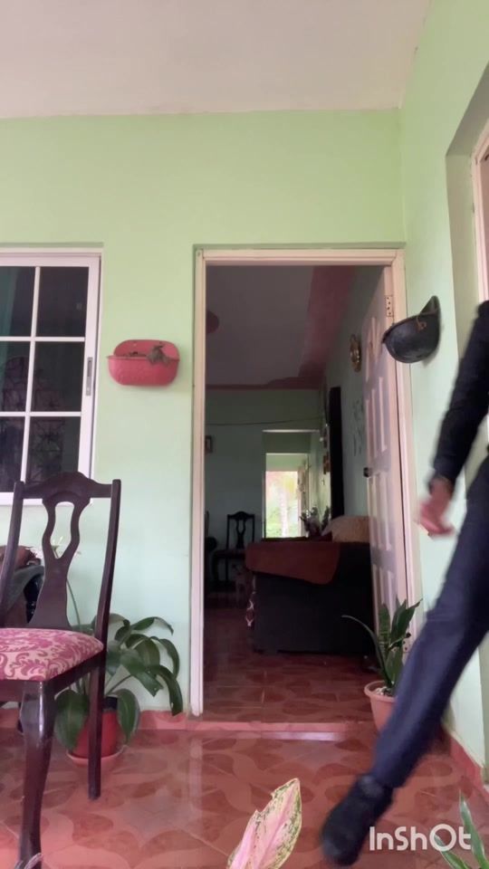 TikTok video thumbnail by steadytiktokgad