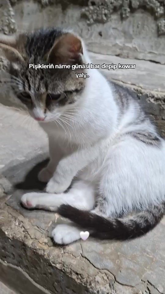 TikTok video thumbnail by agorchka