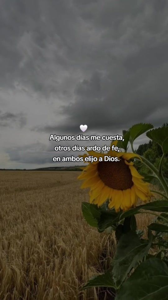 TikTok video thumbnail by eva_osorio7