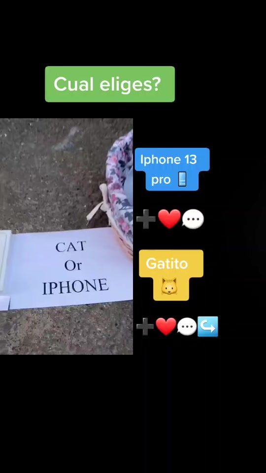 TikTok video thumbnail by caritolu4