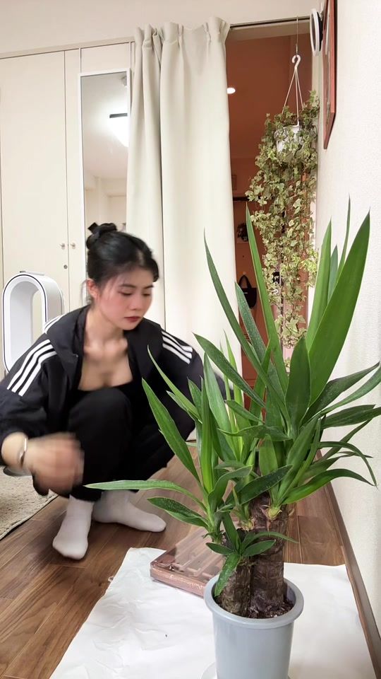 TikTok video thumbnail by chan24thz