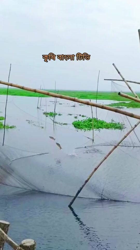 TikTok video thumbnail by nishadahmed0009