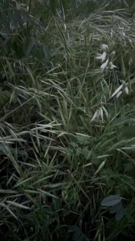 TikTok video thumbnail by gt_12_4