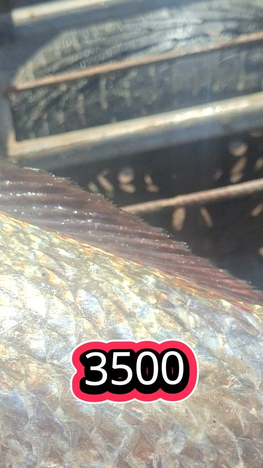 TikTok video thumbnail by sidi.07.poisson