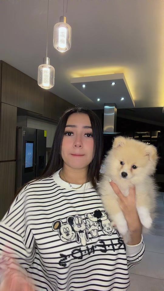 TikTok video thumbnail by anfer_begar