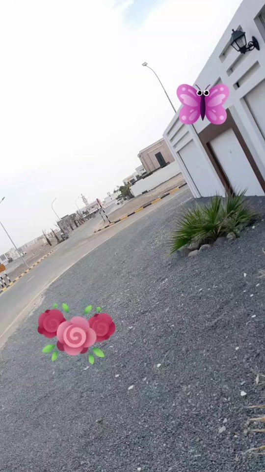 TikTok video thumbnail by user998029026
