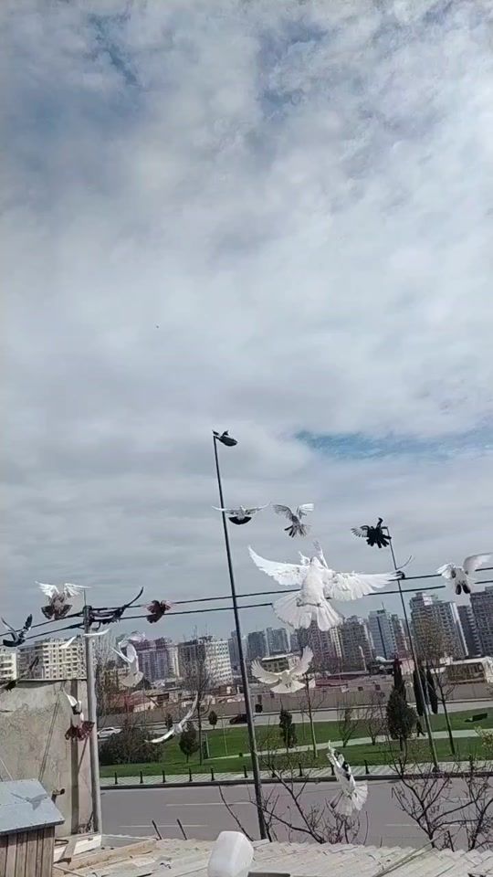 TikTok video thumbnail by skddiidif