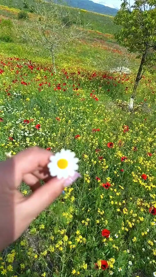 TikTok video thumbnail by _____gunka_____