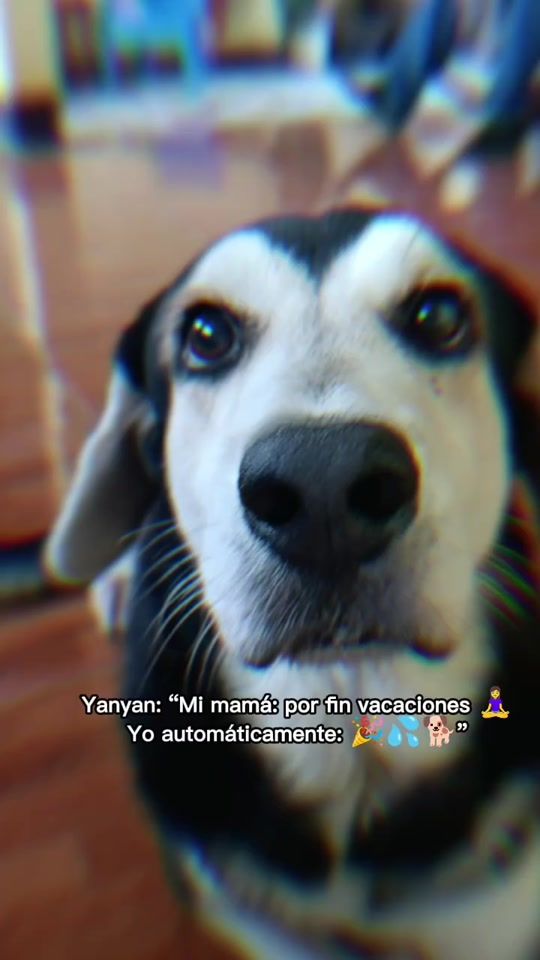 TikTok video thumbnail by lizeth.jarquin6