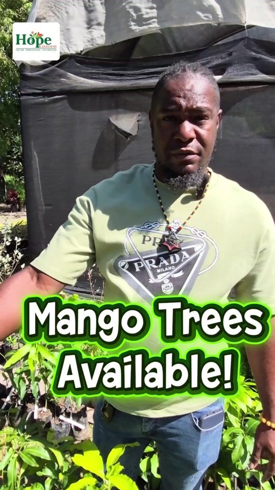 TikTok video thumbnail by hopegardensja