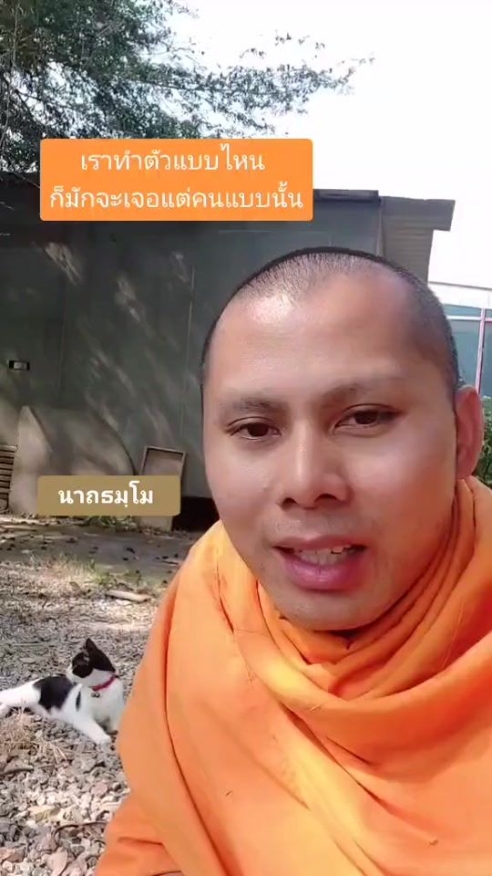 TikTok video thumbnail by p.jed