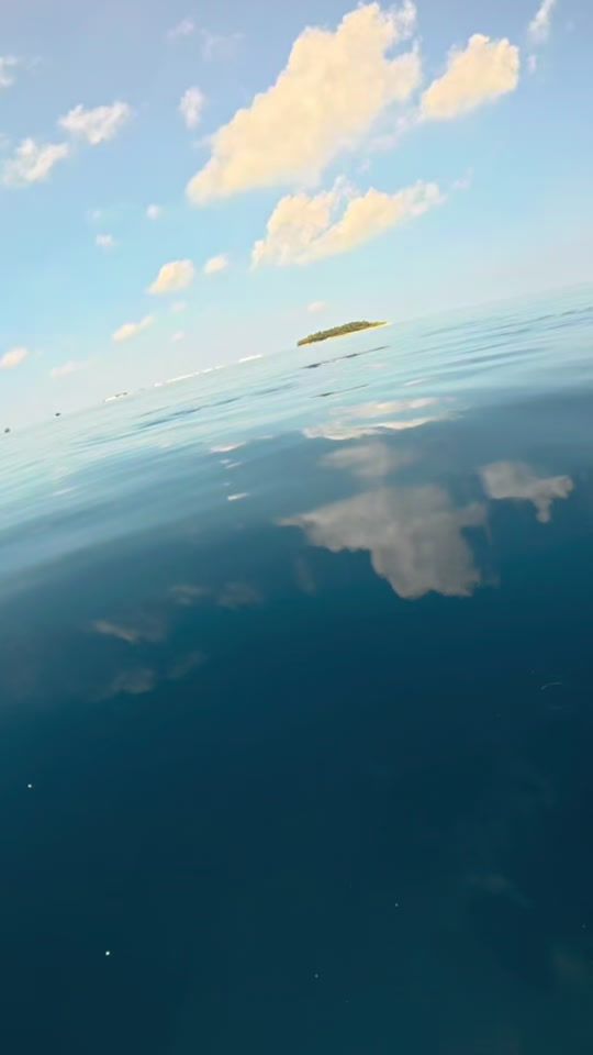 TikTok video thumbnail by theblueplanet7