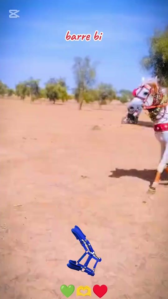 TikTok video thumbnail by baye.fall.karim