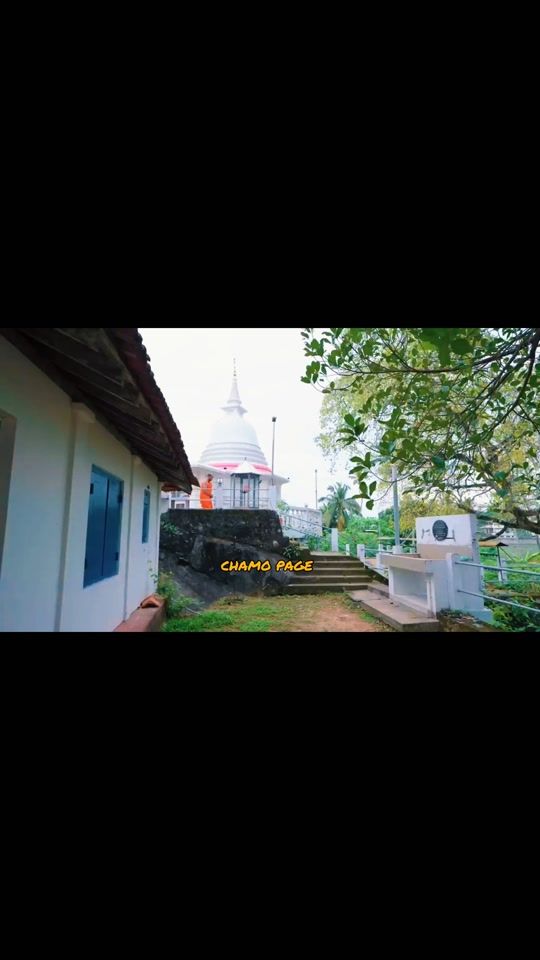 TikTok video thumbnail by chamo.status