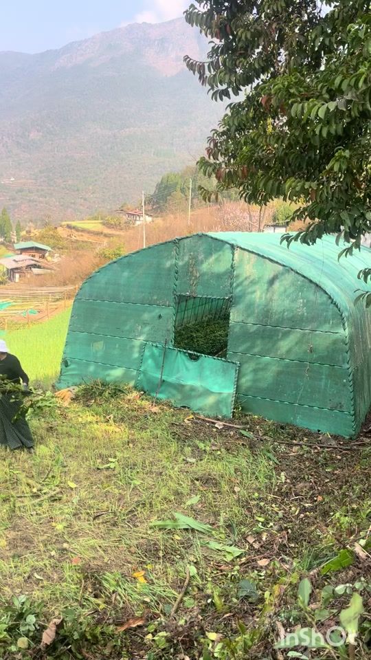 TikTok video thumbnail by dechenpelden673