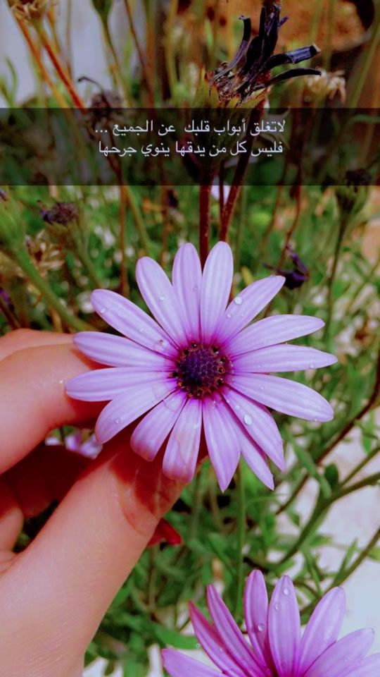 TikTok video thumbnail by heba.taboosh